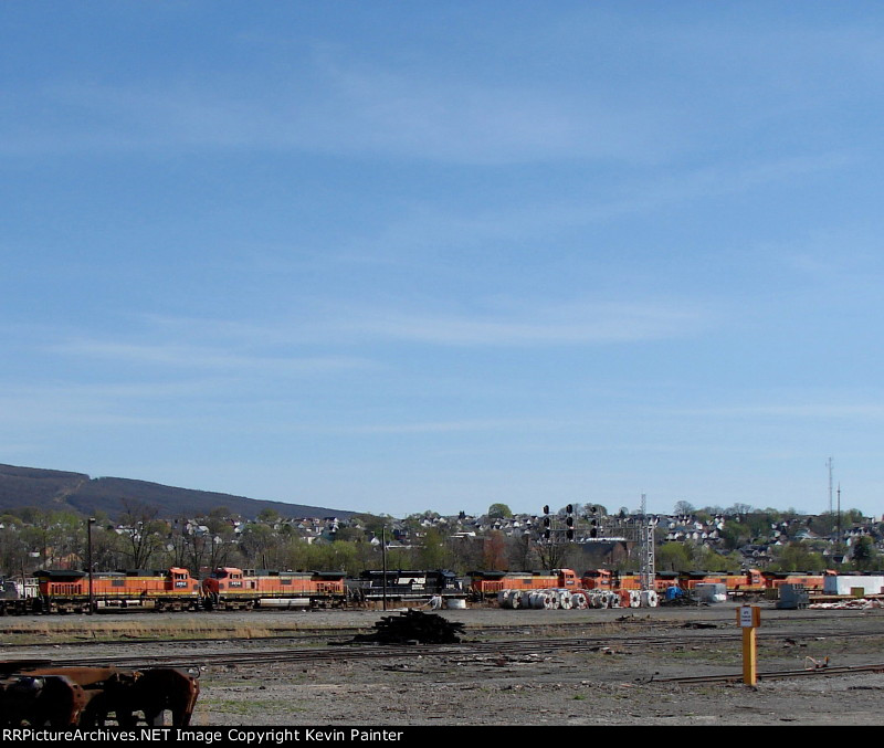 Pumpkins waiting to be rebuilt